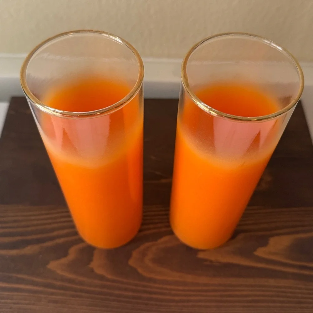 Mid Century Modern Blendo Frosted Orange Tom Collins glasses Set of 2
